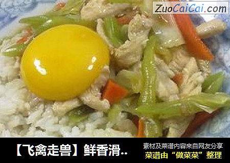 ［飞禽走兽］鲜香滑蛋烩饭
