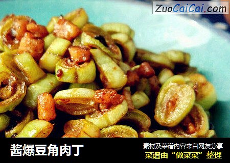 酱爆豆角肉丁
