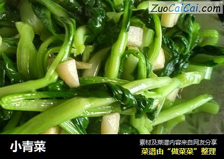 小青菜