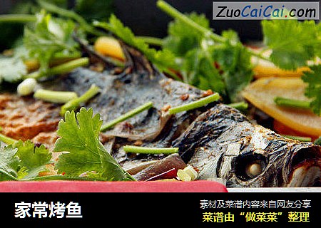 家常烤鱼