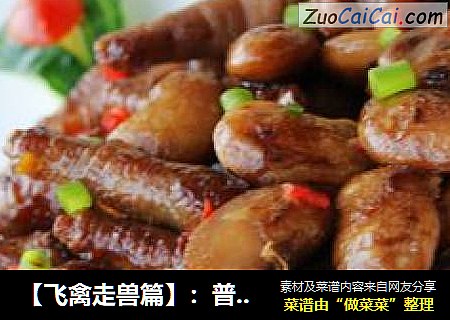 【飞禽走兽篇】：普洱茶焖凤爪