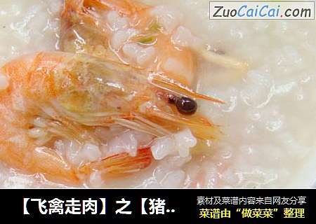 【飞禽走肉】之【猪肉鲜虾粥】
