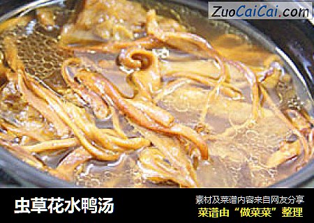 虫草花水鸭汤