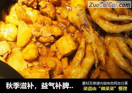 秋季滋补，益气补脾——板栗炖鸡