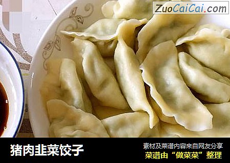 猪肉韭菜饺子
