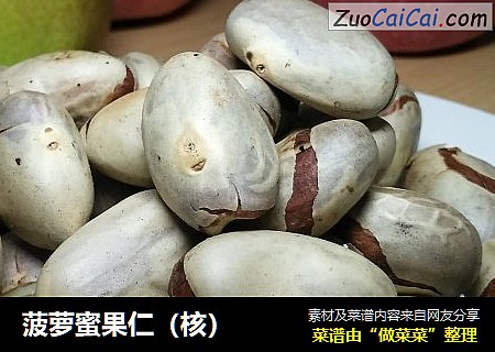 菠萝蜜果仁（核）