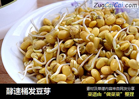 酵速桶发豆芽
