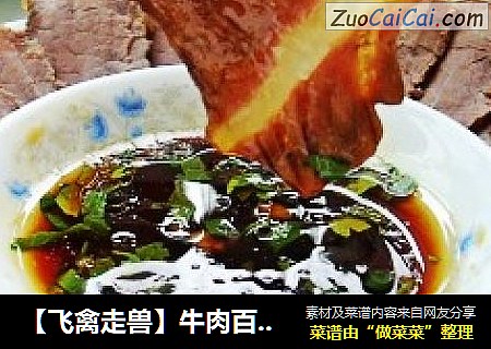 【飞禽走兽】牛肉百变菜必备的打底---五香卤牛肉