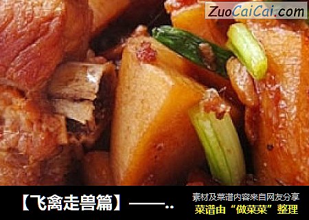 【飞禽走兽篇】——莲藕烧排骨
