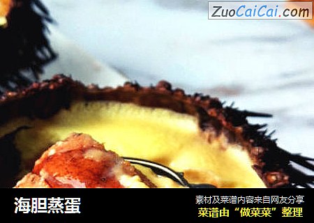 海胆蒸蛋