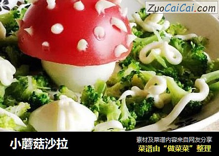 小蘑菇沙拉