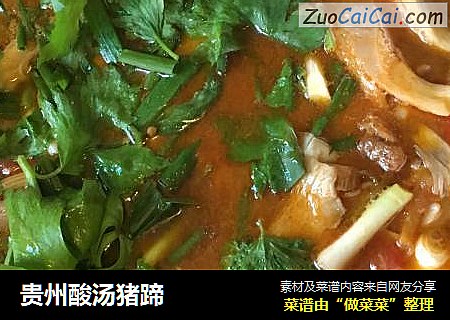 贵州酸汤猪蹄