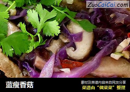 蓝瘦香菇