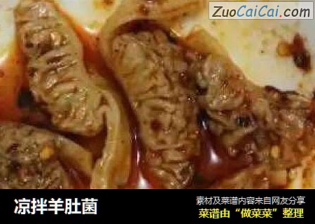 凉拌羊肚菌