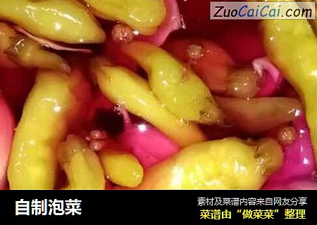 自制泡菜