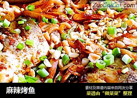 麻辣烤鱼