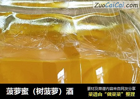 菠萝蜜（树菠萝）酒