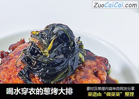 喝水穿衣的葱烤大排