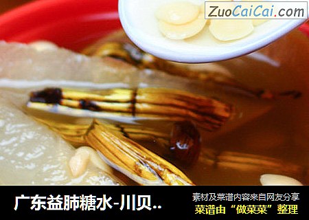 广东益肺糖水-川贝石斛雪梨糖水