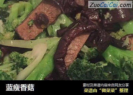 蓝瘦香菇