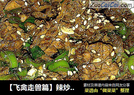 【飞禽走兽篇】辣炒鸡心花