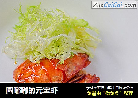 圆嘟嘟的元宝虾