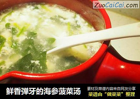鲜香弹牙的海参菠菜汤
