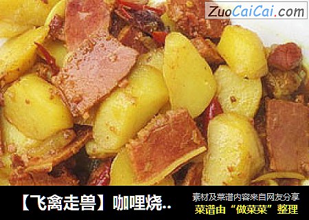 【飞禽走兽】咖哩烧牛肉土豆