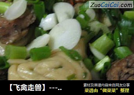 【飞禽走兽】----鸡肉垫卷子