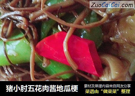 猪小肘五花肉酱地瓜梗
