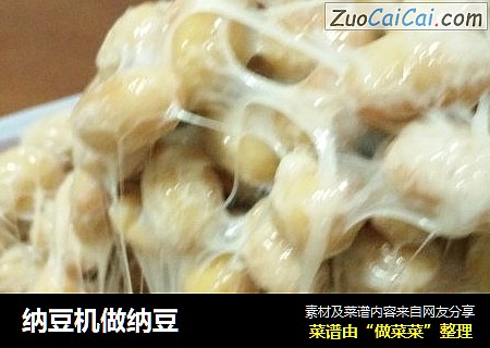 纳豆机做纳豆