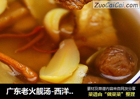 广东老火靓汤-西洋参健脾补气汤