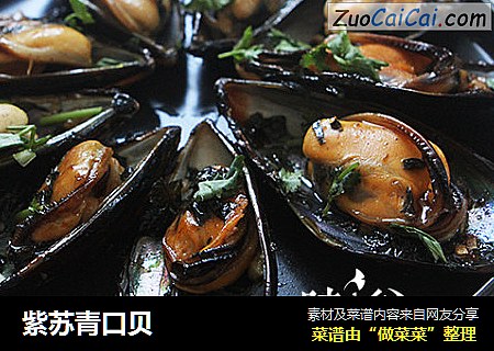 紫苏青口贝