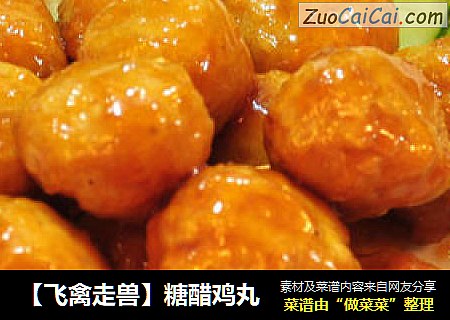 【飞禽走兽】糖醋鸡丸