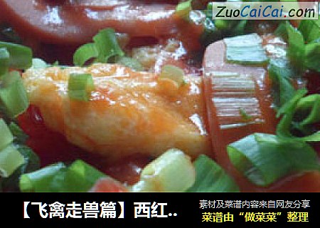 【飞禽走兽篇】西红柿炒蛋