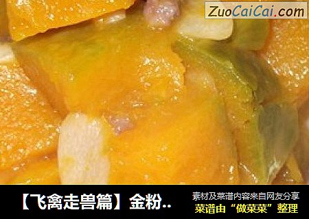 【飞禽走兽篇】金粉南瓜