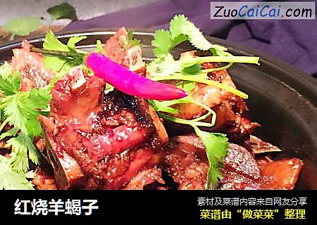 红烧羊蝎子