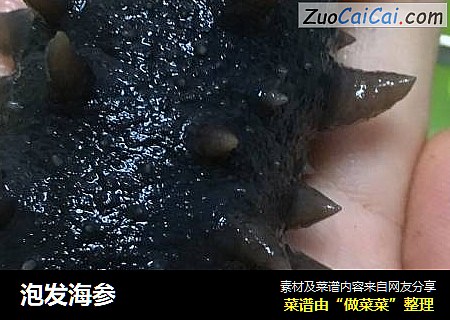 泡发海参