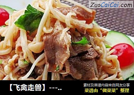 【飞禽走兽】---金针菇拌肥牛