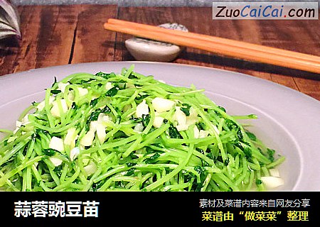 蒜蓉豌豆苗