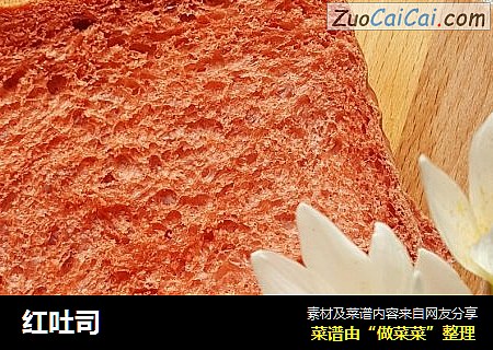 红吐司