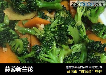蒜蓉新兰花