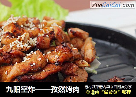 九阳空炸——孜然烤肉