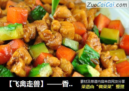 【飞禽走兽】——香炒鸡丁