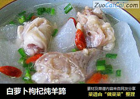 白萝卜枸杞炖羊蹄