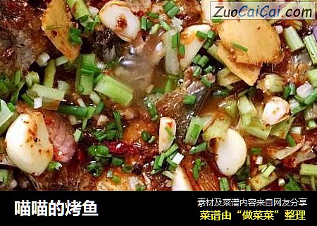 喵喵的烤鱼