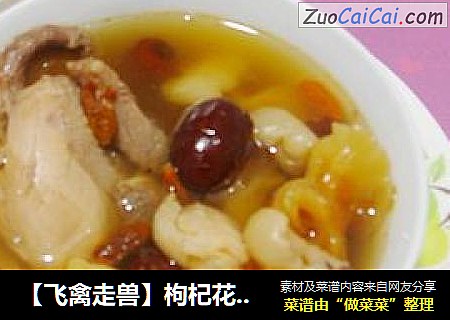 【飞禽走兽】枸杞花胶炖鹌鹑