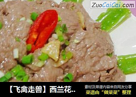 【飞禽走兽】西兰花凉瓜牛肉
