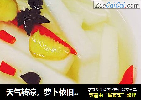 天气转凉，萝卜依旧等待着它的春天