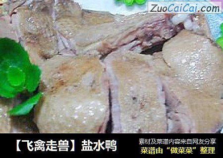 【飞禽走兽】盐水鸭